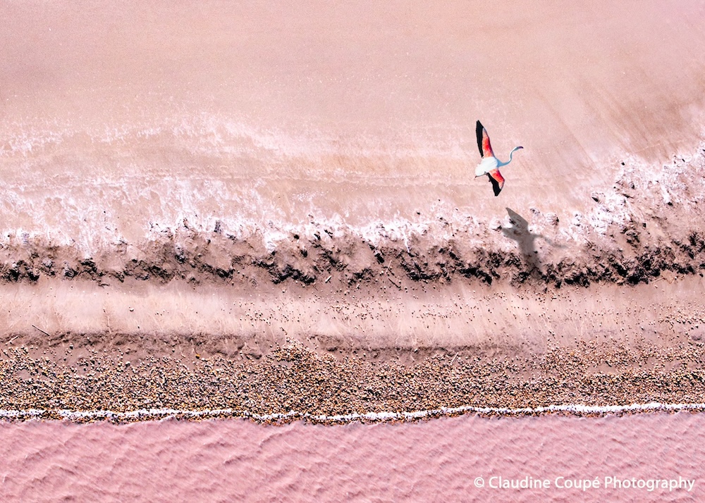 Paysage Camargue 2